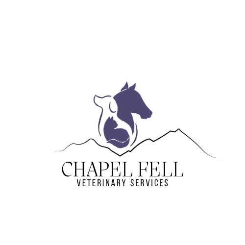 Chapel Fell Veterinary Services